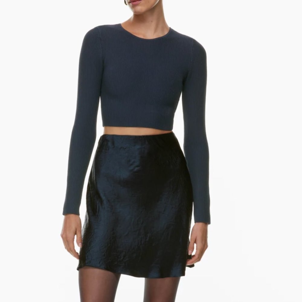 Aritzia Babaton Slip Satin Mini Skirt